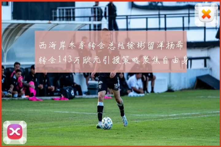 西海岸冬季转会总结徐彬留洋杨希转会143万欧元引援策略聚焦自由身球员